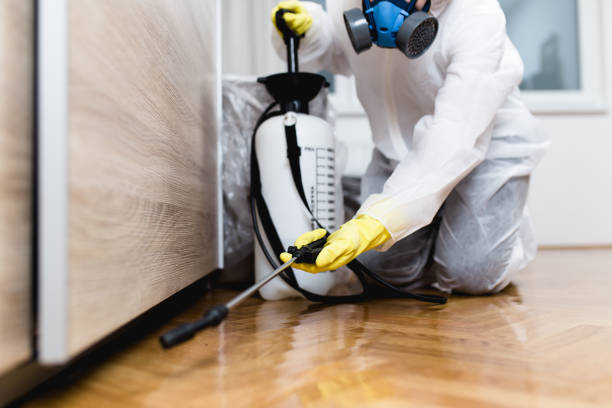 Best Flea Control Services  in Anacoco, LA