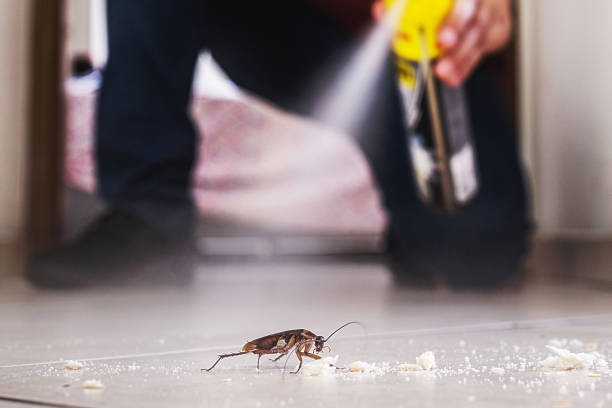 Professional Pest Control in Anacoco, LA